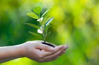 Festa degli alberi 100 anni dalla prima celebrazione Sabato 21 aprile 