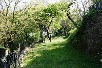 COMUNE CIVIDALE FRIULI nordic walking nel PARCO DELLA LESA 11 12 maggio
