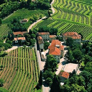 Friuli Colli Orientali