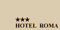 HOTEL ROMA***