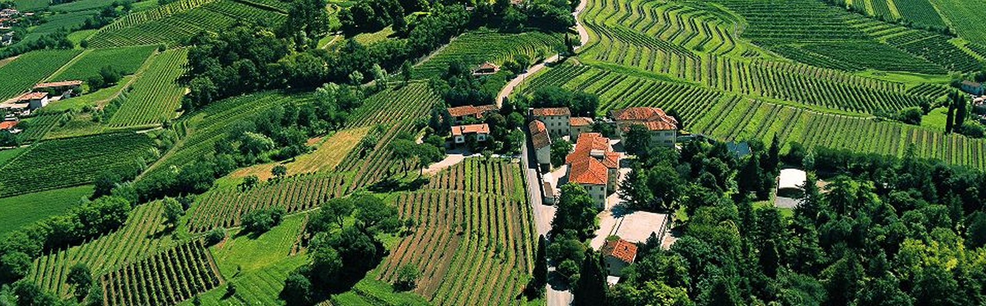 Friuli Colli Orientali