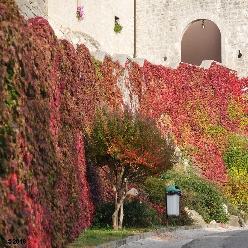 Il Santuario di Castelmonte