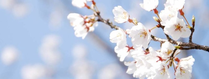 Primavera nelle Valli del Natisone