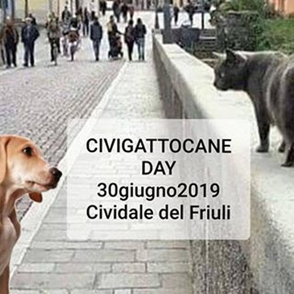 CIVIGATTOCANE DAY - 30 Giugno 2019