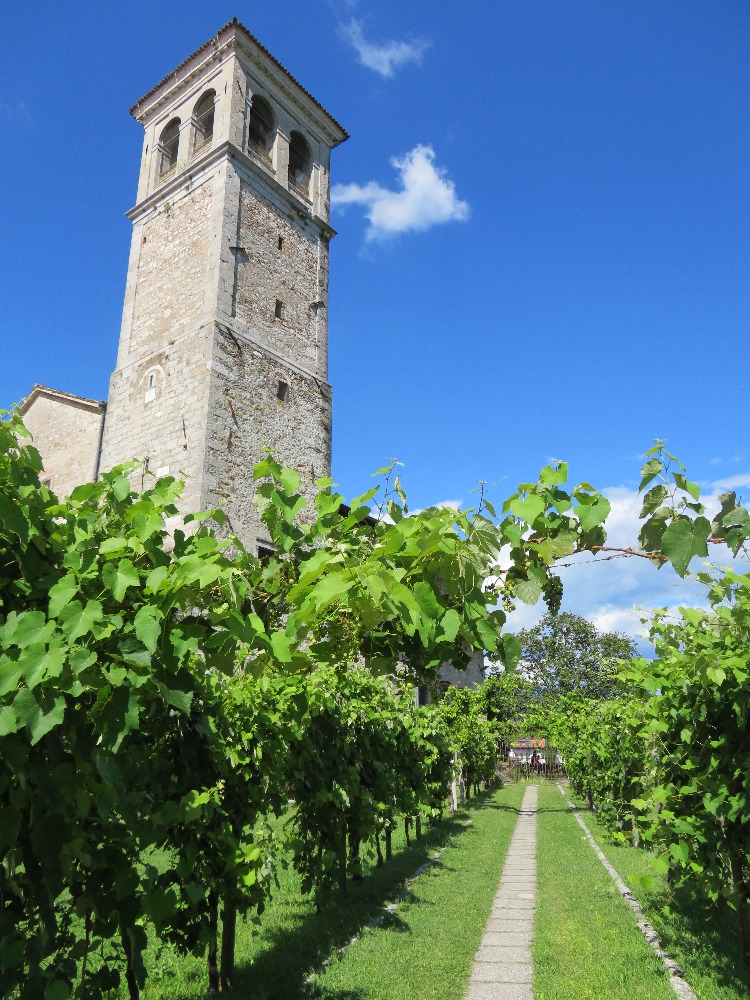 ''Dall''uva dei Longobardi al vino delle Orsoline''