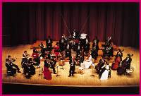 La Strauss Festival Orchester di Vienna al Giovanni da Udine.