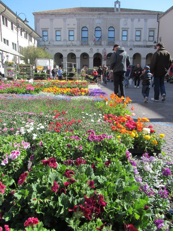 Festa di primavera: Cividale del Friuli si veste di fiori Festa di primavera: Cividale del Friuli si veste di fiori